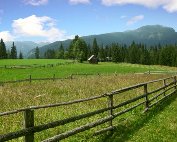 istock Slovenia Meadow Landscape 1031106820