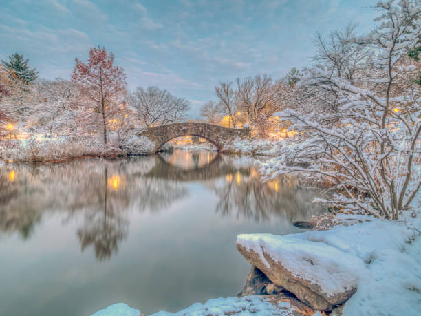 istock Gapstow bridge Central Park, New York City 1031112134