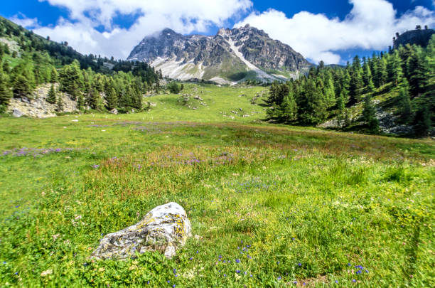 istock French Swiss Alps 1031112422