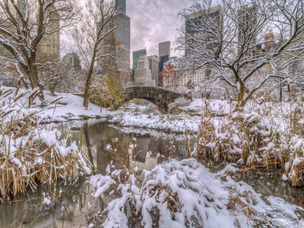 istock Gapstow bridge Central Park, New York City 1031112916