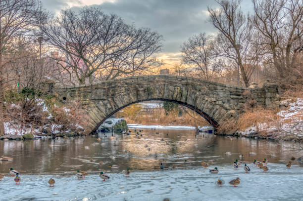 istock Gapstow bridge Central Park, New York City 1031113498