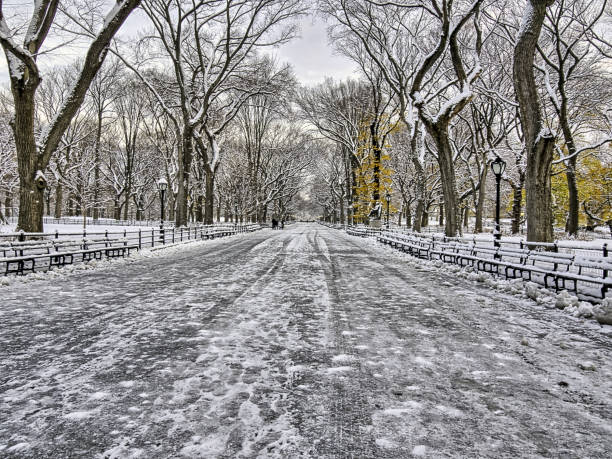 istock Central Park, New York City 1031113808
