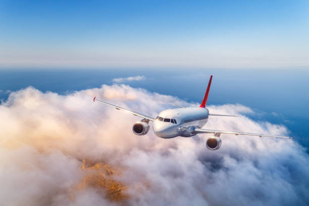 istock Passenger airplane flying over clouds at sunset. Landscape with big white airplane, low clouds, sea, blue sky in the evening. Aircraft is landing. Business trip. Commercial plane. Travel. Aerial view 1031149174