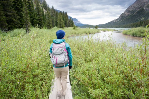 istock Hiking Glacier National Park 1031169596