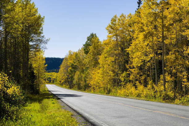 istock Curve in Mountain Road Autumn Fall Colors 1031170196