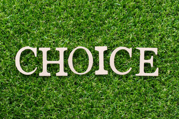istock Wood alphabet in word choice on artificial green grass background 1031177932