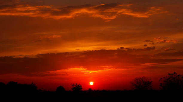 istock Pink sunset and dark trees. Sun goes down over treeline. Pink clouds. 1031180294