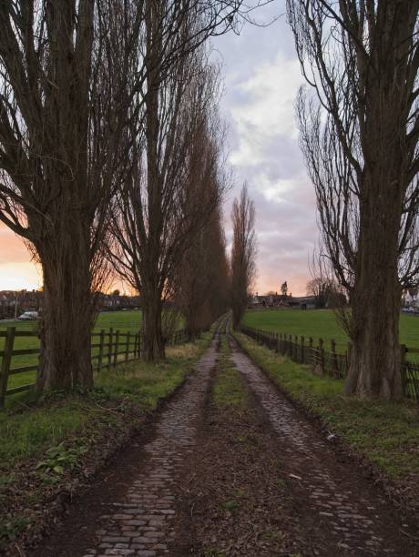 istock Long Pathway in the Peaceful Countryside at Sunset 1031187748