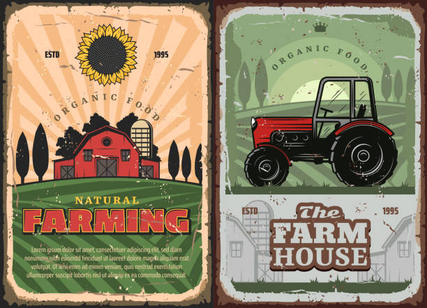 Farming agriculture and farm house retro poster Farm house and tractor retro poster for farming and agriculture industry. vector vintage design of farmer grain barn and arable field with wheat and rye harvest, sunflower and mill wheat ranch stock illustrations