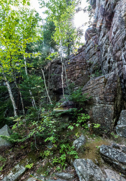 istock Acadia National Park 1031196212