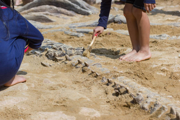 istock Children learning about, Excavating dinosaur fossils simulation 1031210994