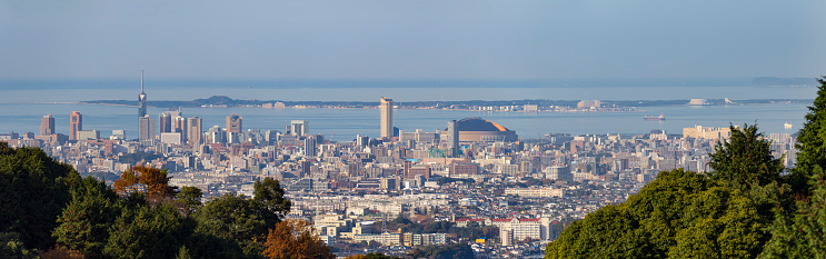 Aerial view of Fukuoka city in Japan, with trees on the foreground