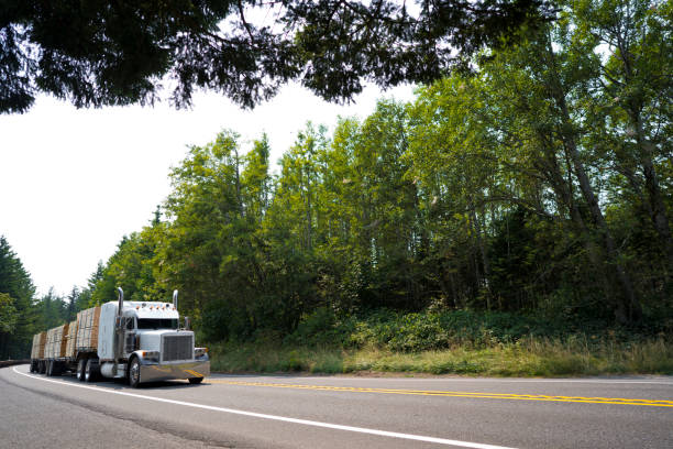 istock Big rig classic semi truck with three flat bed semi trailers transporting lumber on green road with trees 1031235636