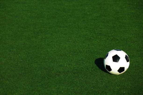 Football on a green field . Sport