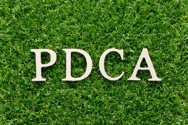 istock Wood alphabet in word PDCA (plan do check act) on artificial green grass background 1031240958