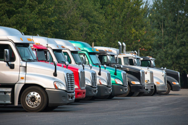 различные большие буровые полугрузовики тракторы стоят в ряд на стоянке с зелеными деревьями - truck parking horizontal shipping стоковые фото и изображения