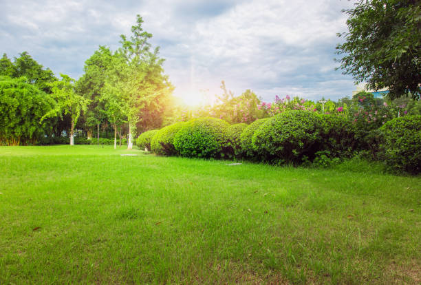 istock City park at sunset 1031246284