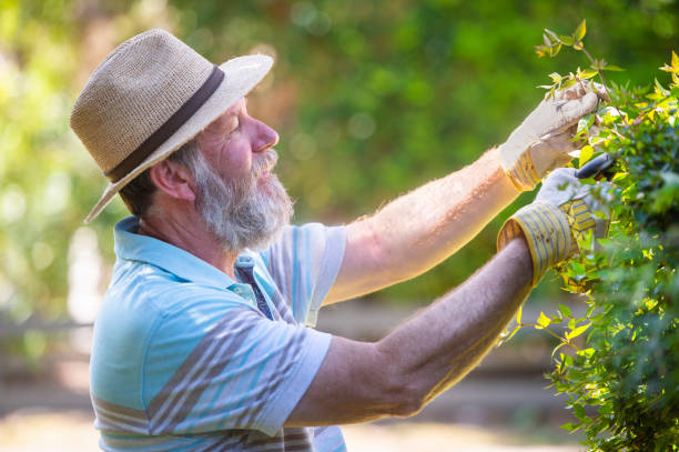 istock Senior Man Gardening 1031252080