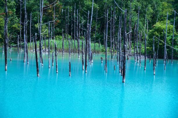 istock A superb view of Japan Blue pond 1031266552