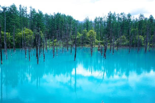 istock A superb view of Japan Blue pond 1031266582