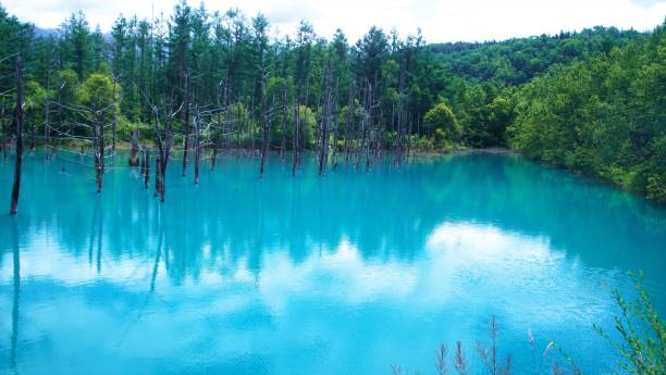 istock A superb view of Japan Blue pond 1031266584