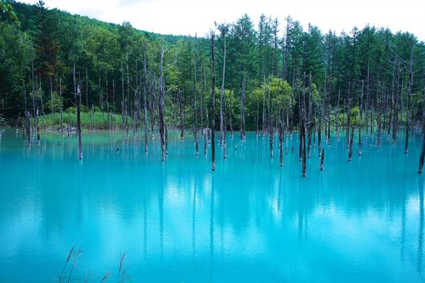 istock A superb view of Japan Blue pond 1031266594