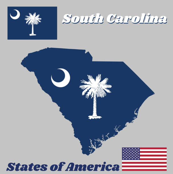 개요 및 깃발의 사우스 캐롤라이나, 화이트 메 트리 쪽 필드에 매핑하십시오. 구획에는 하얀 초승달을 포함 되어 있습니다. - south carolina stock illustrations