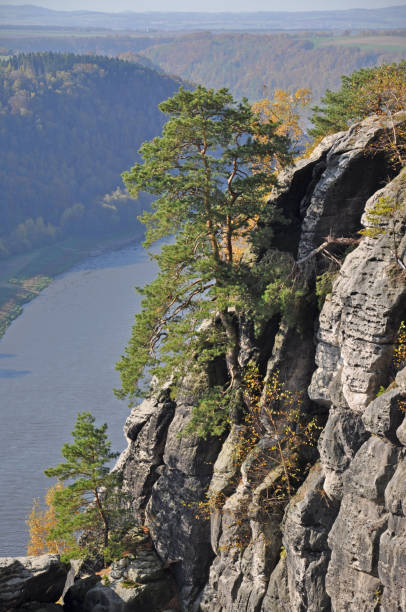 widok z bastei - elbe fluss zdjęcia i obrazy z banku zdjęć