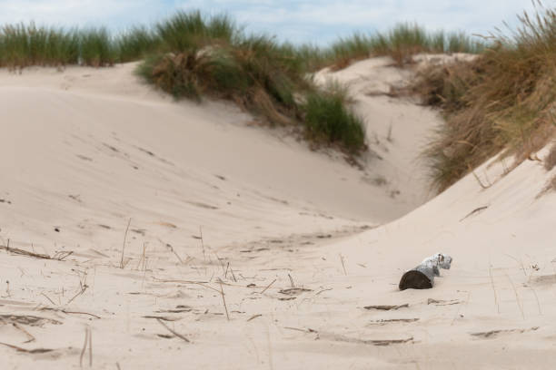 detalles y transparente entre las dunas de deriva a lo largo de la costa del mar del norte de los países bajos. paisaje de la playa de verano en la naturaleza - schoorl fotografías e imágenes de stock