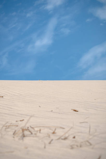 muster, falten und andere details der erosion im weißen sandstrand in den dünen - schoorl stock-fotos und bilder