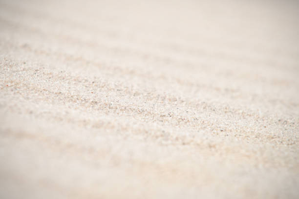 patrones, las arrugas y otros detalles de la erosión en playa blanca en las dunas - schoorl fotografías e imágenes de stock