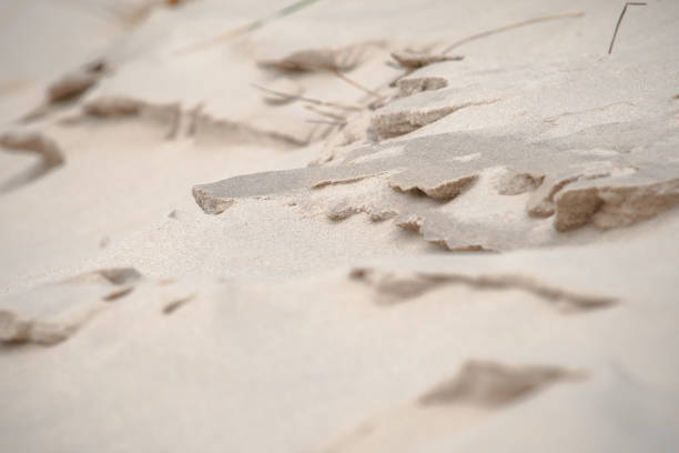muster, falten und andere details der erosion im weißen sandstrand in den dünen - schoorl stock-fotos und bilder