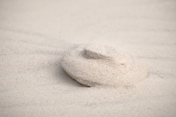 patrones, las arrugas y otros detalles de la erosión en playa blanca en las dunas - schoorl fotografías e imágenes de stock