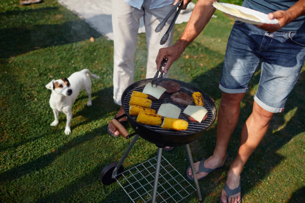 istock Family on picnic 1031292486