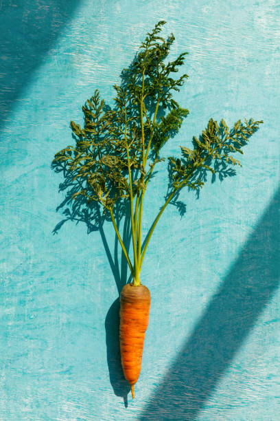 istock Ripe carrot on a wooden background, close-up 1031299404
