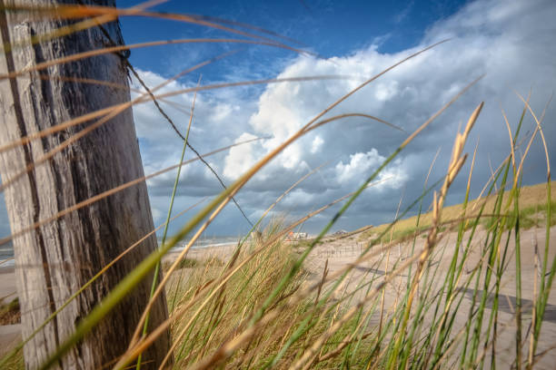 Beautiful picture with a view over the Dutch coast strip with sand dunes, wide beaches and a sunny, windy storm day