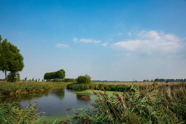 istock landscape with water in Sint Kruis, Belgium 1031307896