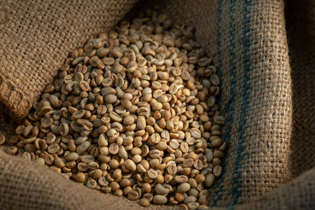 istock Green coffee bean raw in sack with scoop 1031321204