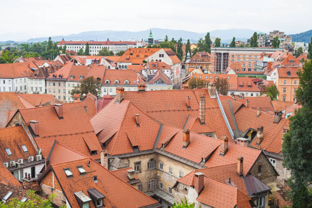 istock Panorama of Ljubljana, rooftops 1031329330
