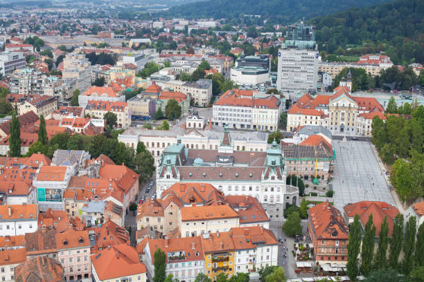 istock Panorama of Ljubljana, rooftops 1031329486
