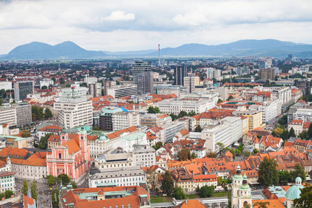 istock Panorama of Ljubljana, rooftops 1031329540