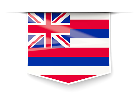 hawaii state flag square label with shadow. United states local flags. 3D illustration