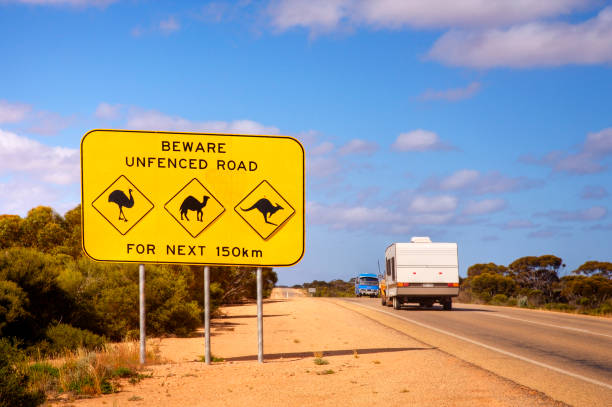 planície de nullarbor sinal austrália - kangaroo animal australia outback - fotografias e filmes do acervo
