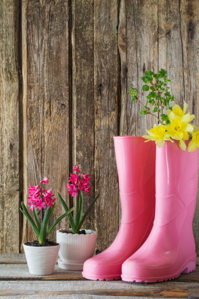 rubber boots and spring flowers on wooden background