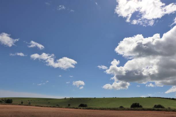 istock Big fluffy white cloud in blue sky over field with gate 1031344942
