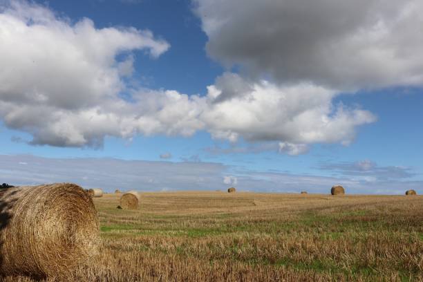 istock Big fluffy white cloud in blue sky over field with gate 1031345016