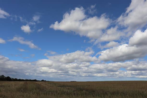istock Big fluffy white cloud in blue sky over field with gate 1031345080