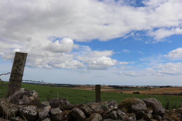 istock Big fluffy white cloud in blue sky over field with gate 1031345156