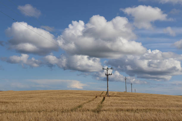 istock Big fluffy white cloud in blue sky over field with gate 1031345230