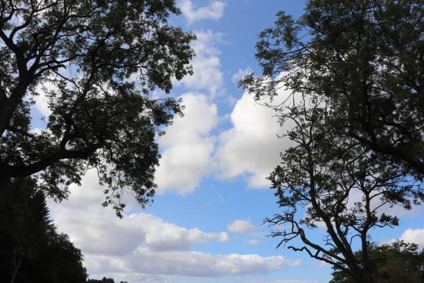 Cloudscape in rural setting